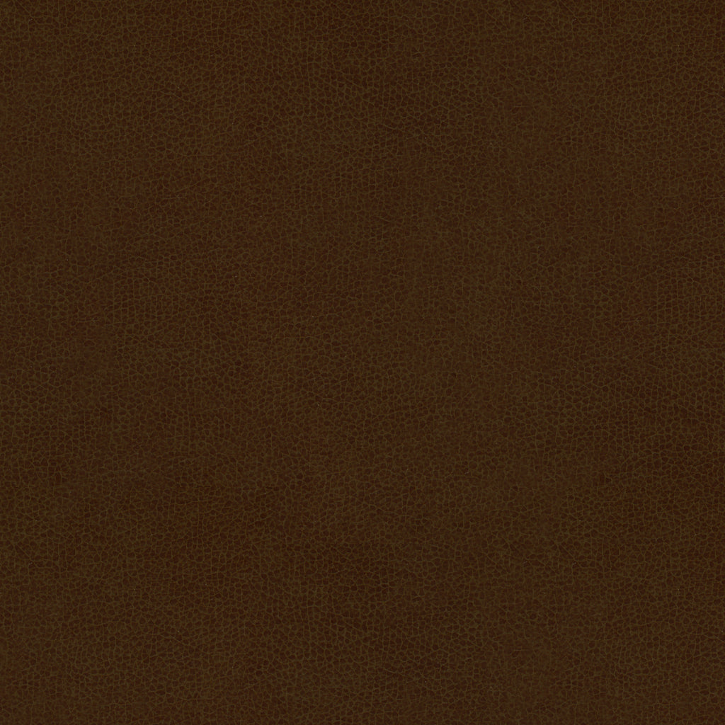 Abilene - Cocoa - Kravet Contract Fabric