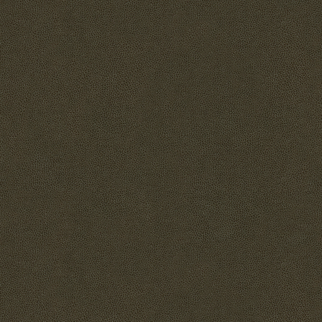 Abilene - Stallion - Kravet Contract Fabric