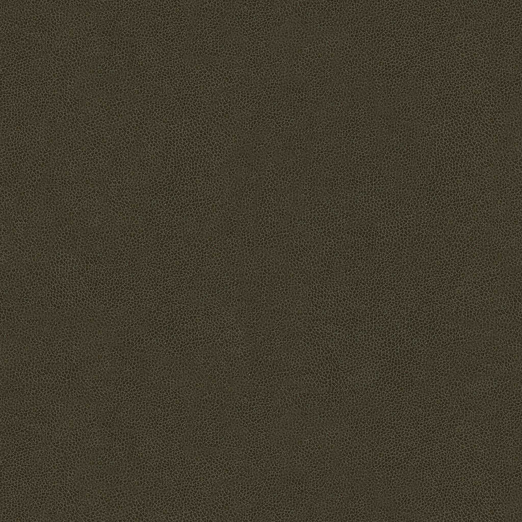 Abilene - Stallion - KRAVET CONTRACT Fabric
