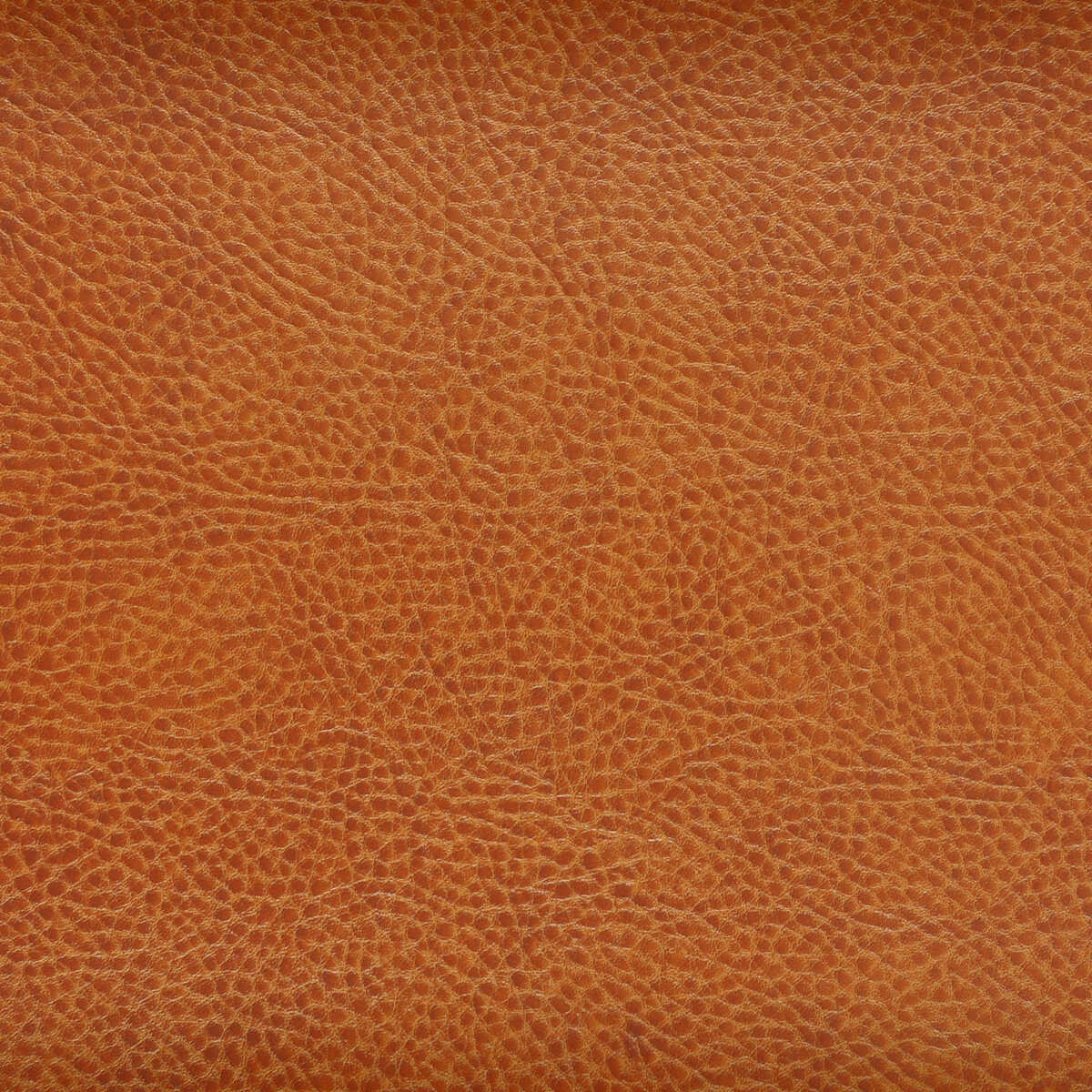 Kravet Design - Acoustic-24