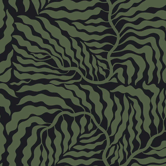 fern-fronds-wallpaper-black-green-york-wallcoverings-ag2061
