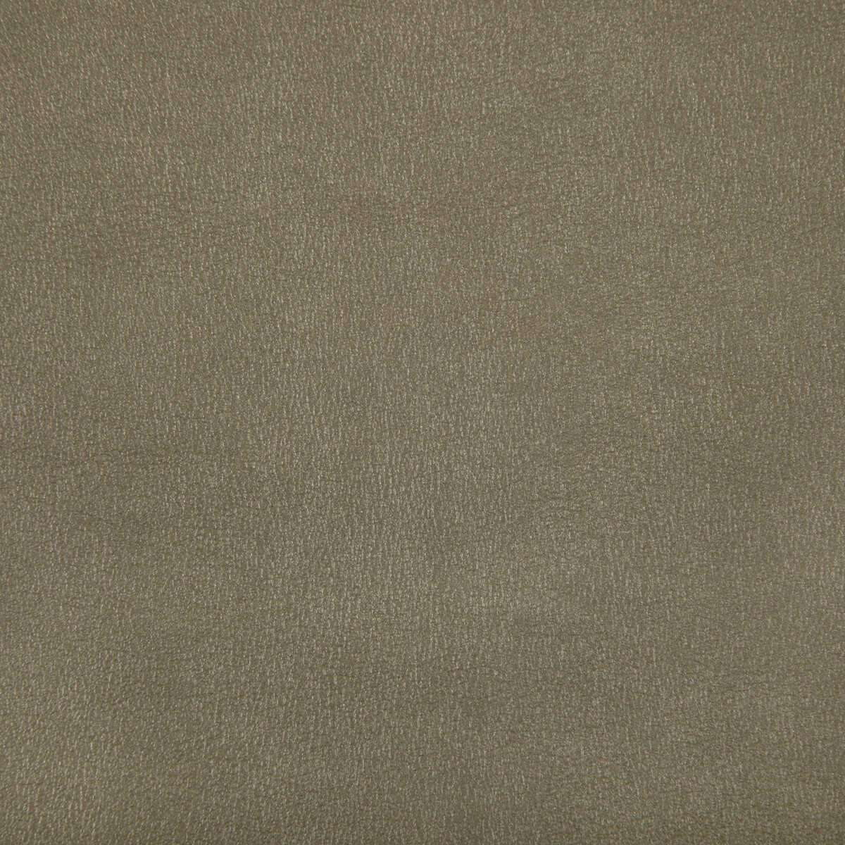 Agatha - Antique - KRAVET CONTRACT Fabric
