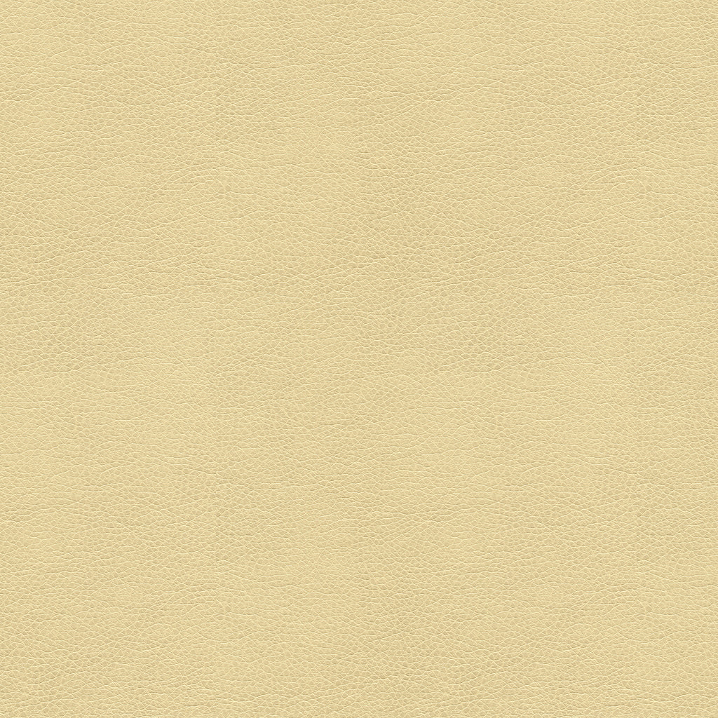 Kravet Smart - Alina-116 - Kravet Smart Fabric