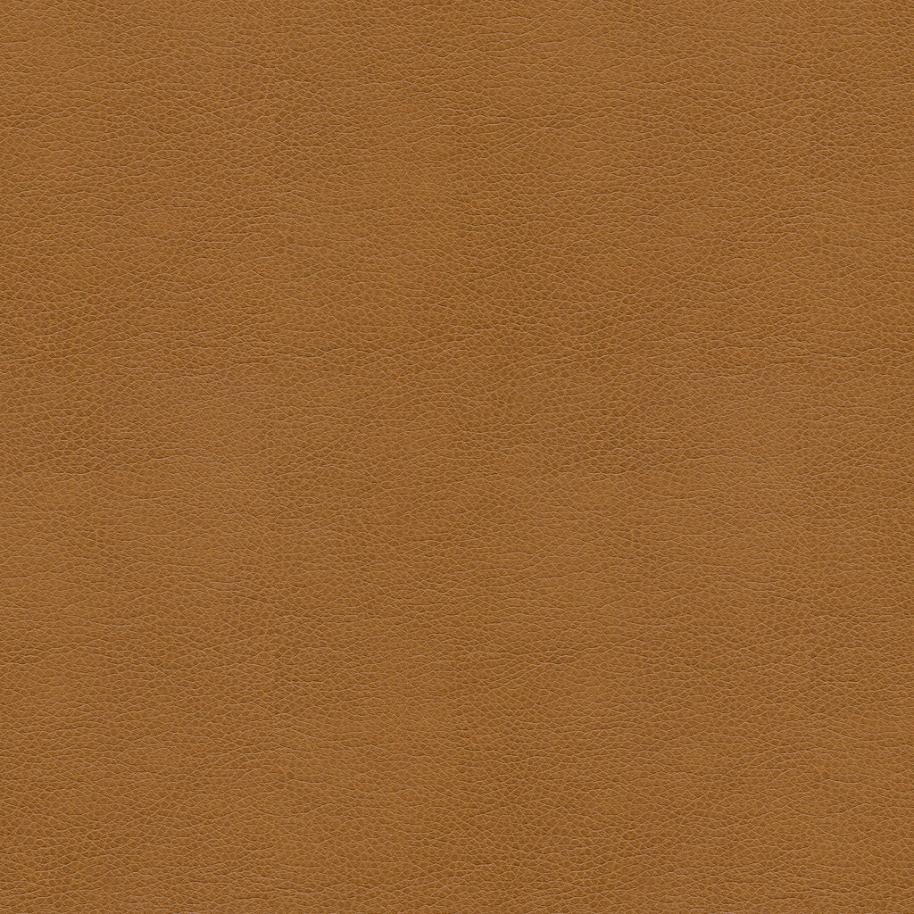 Kravet Smart - Alina-16 - Kravet Smart Fabric