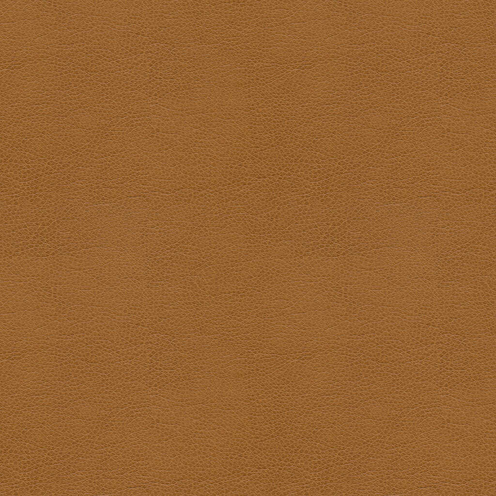 Kravet Contract - Balara-16