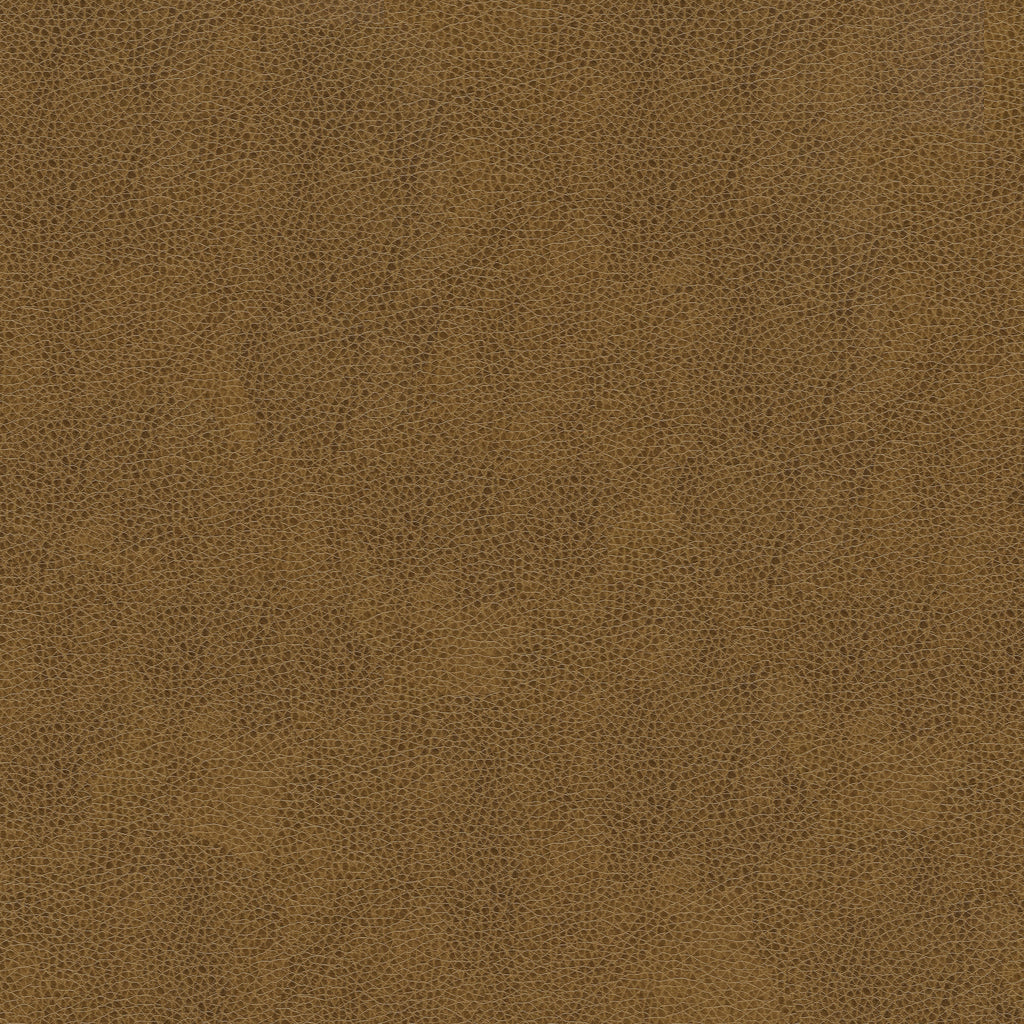 Kravet Smart - Alina-616 - Kravet Smart Fabric