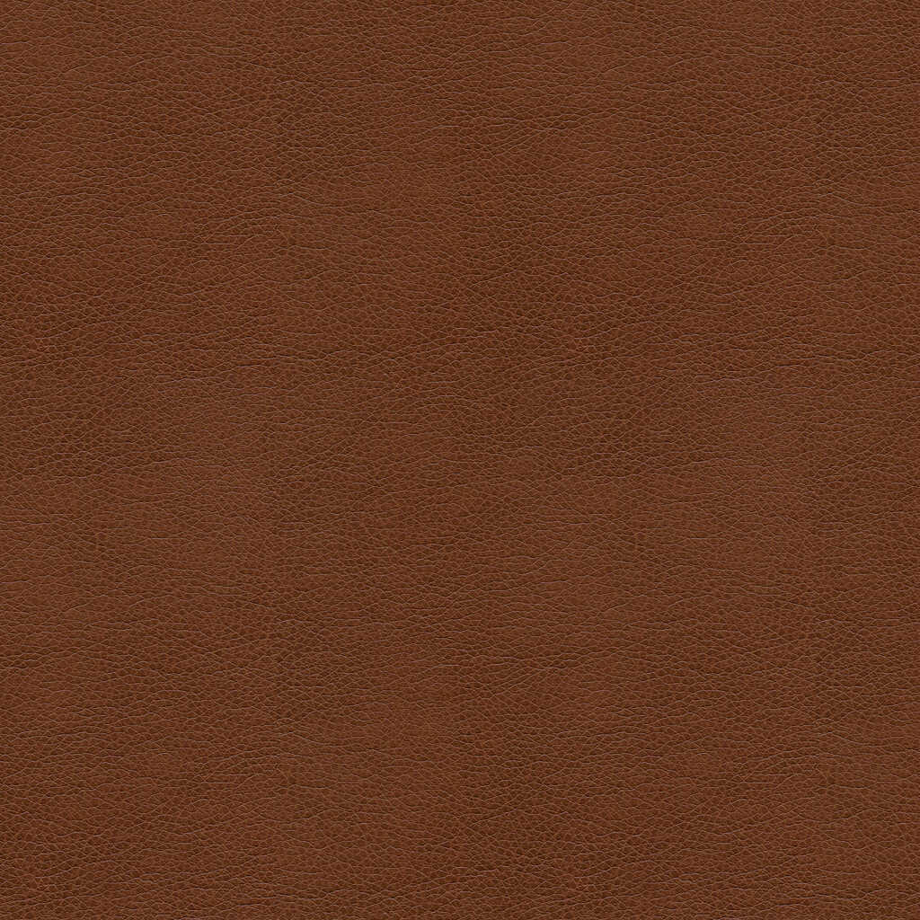 Kravet Contract - Balara-6