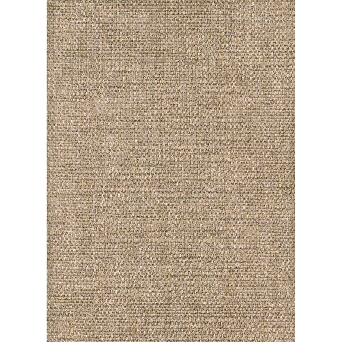 Paraggi - Wheat