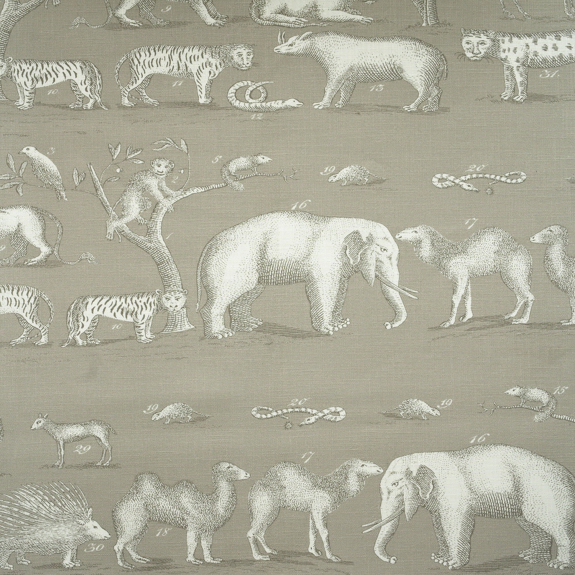 Kingdom Outdoor - Cloud - Kravet Couture Fabric