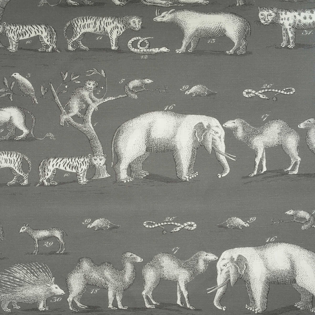 Kingdom Outdoor - Rock - KRAVET COUTURE Fabric