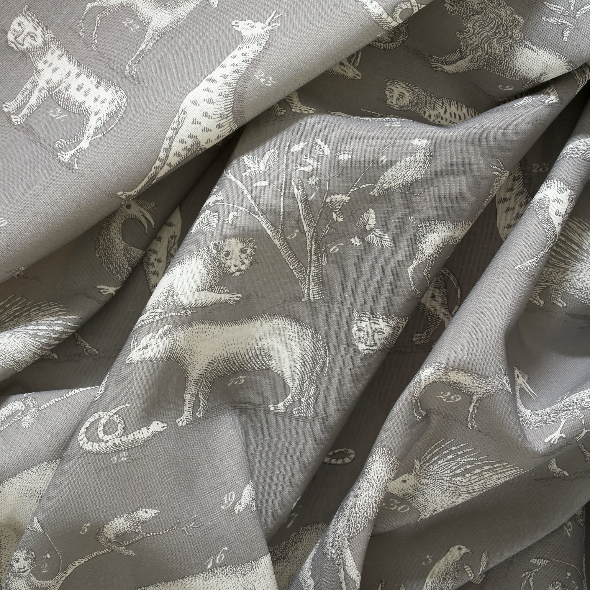 Kingdom Outdoor - Rock - Kravet Couture Fabric