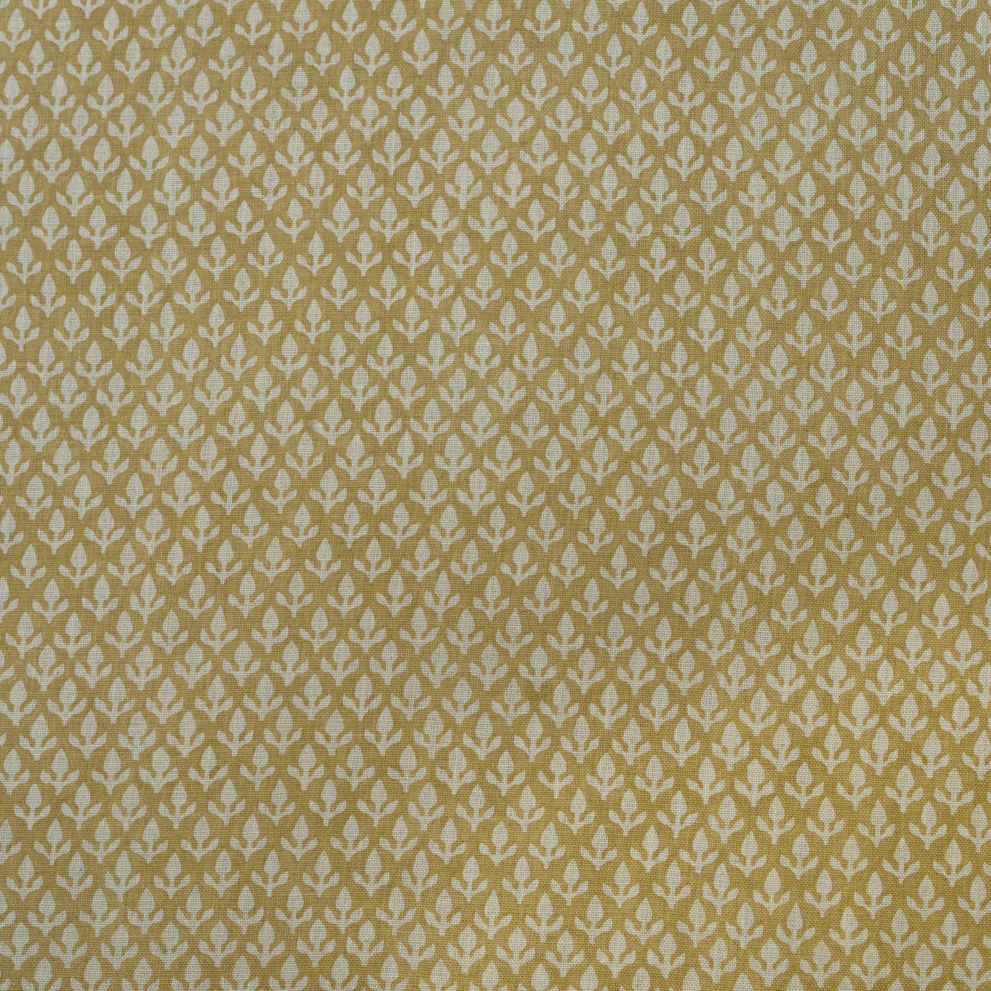 Bud - Honey - Kravet Couture Fabric