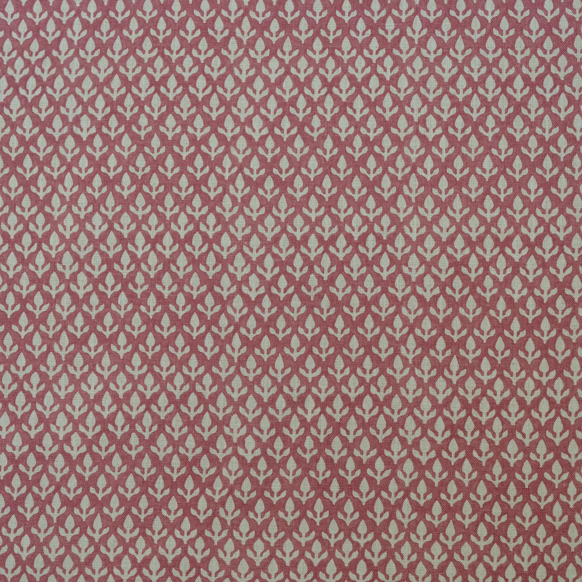 Bud - Pink - Kravet Couture Fabric