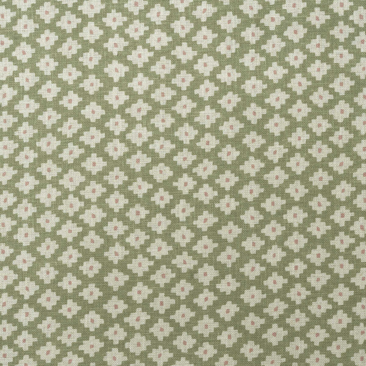 Maze - Fennel