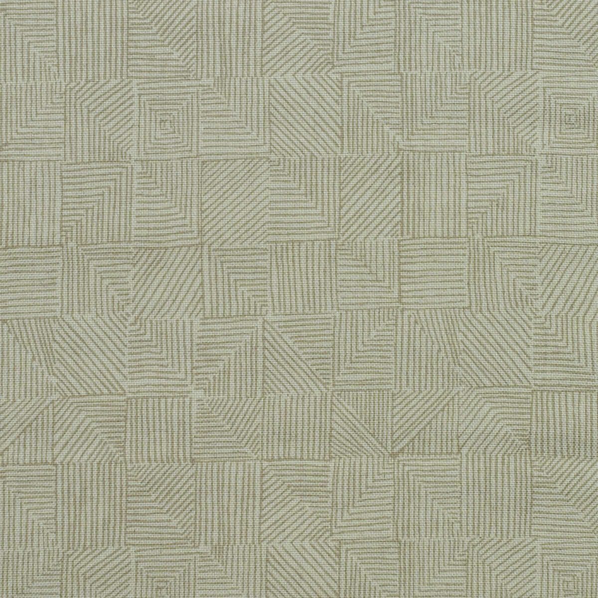 Bark - Twig