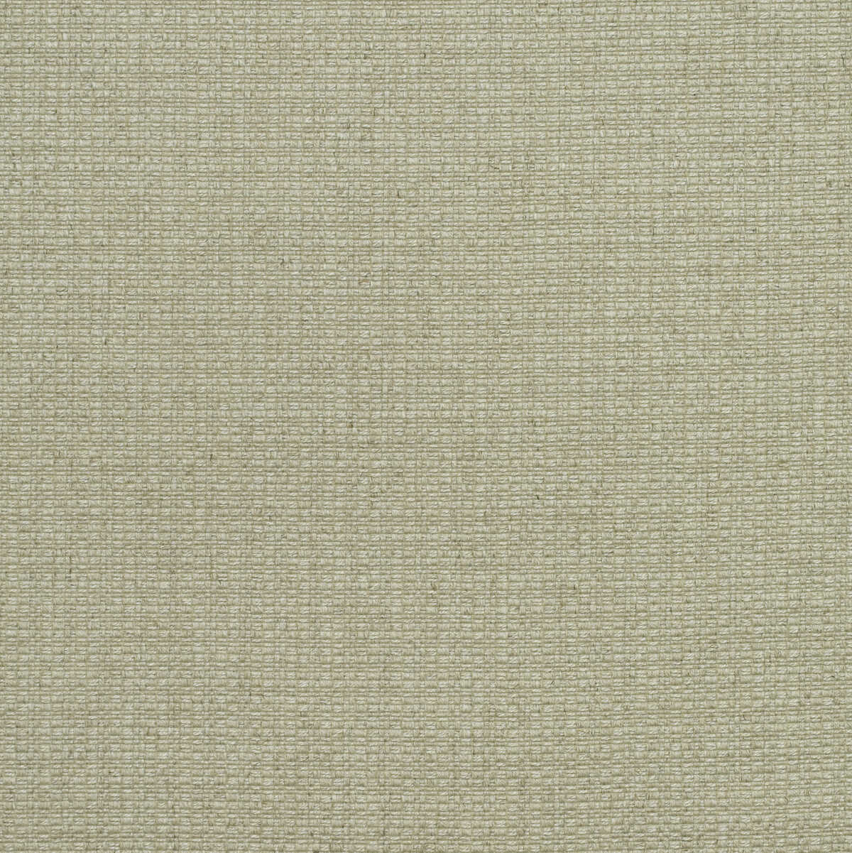 Birch - Stone - KRAVET COUTURE Fabric
