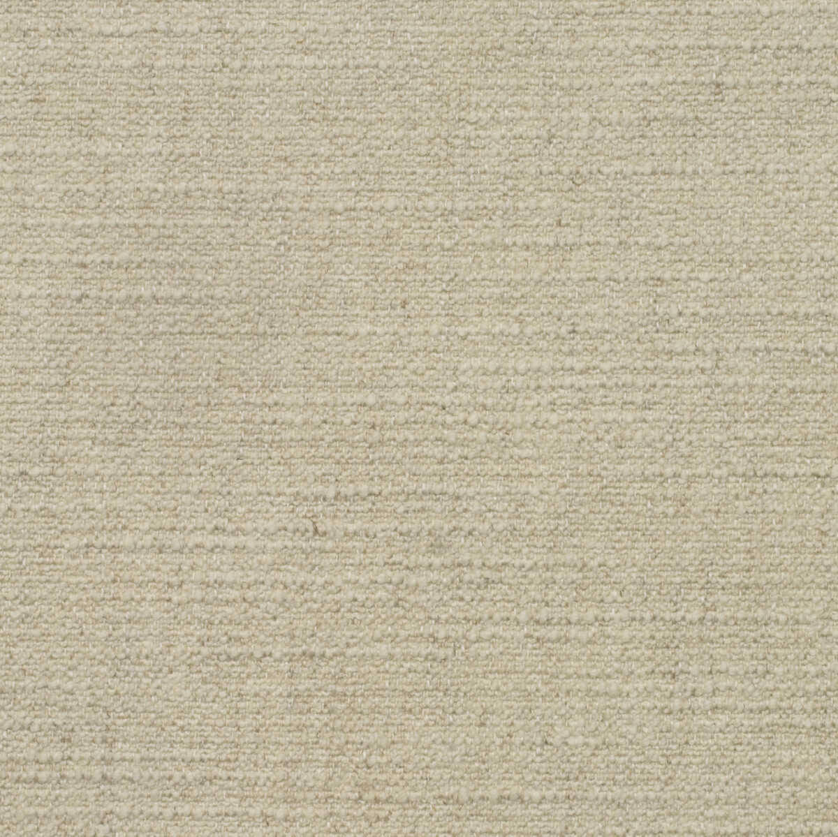 Wren - Chalk