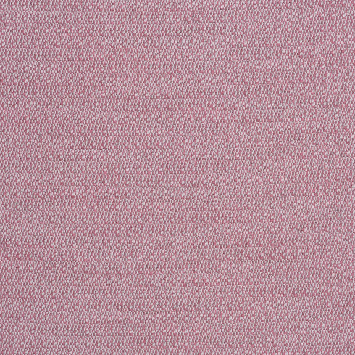 Ravello - Pink