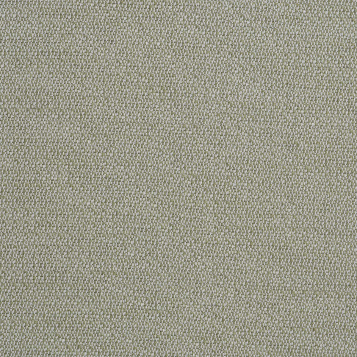 Ravello - Leaf - KRAVET COUTURE Fabric