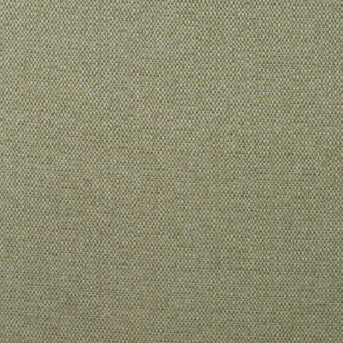 Jetty - Reed - KRAVET COUTURE Fabric