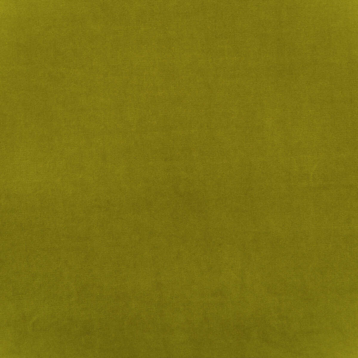 Medici - Pear