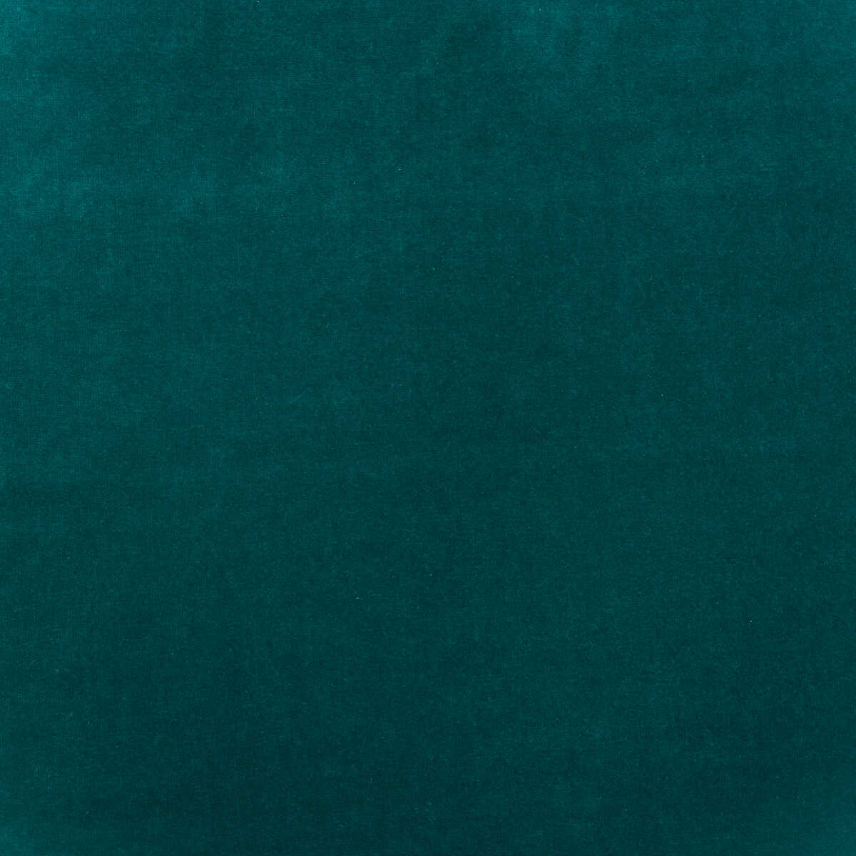 Medici - Kingfisher - KRAVET COUTURE Fabric