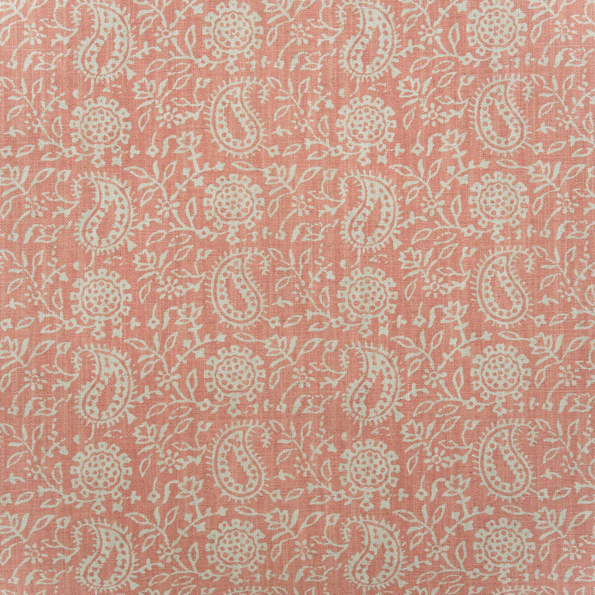 Sunflower - Coral