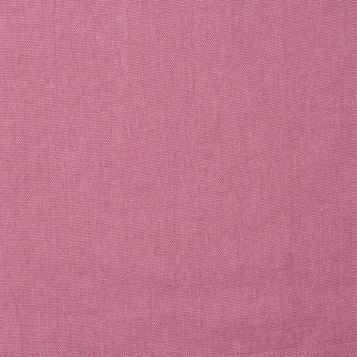 Rocco - Rose - KRAVET COUTURE Tela