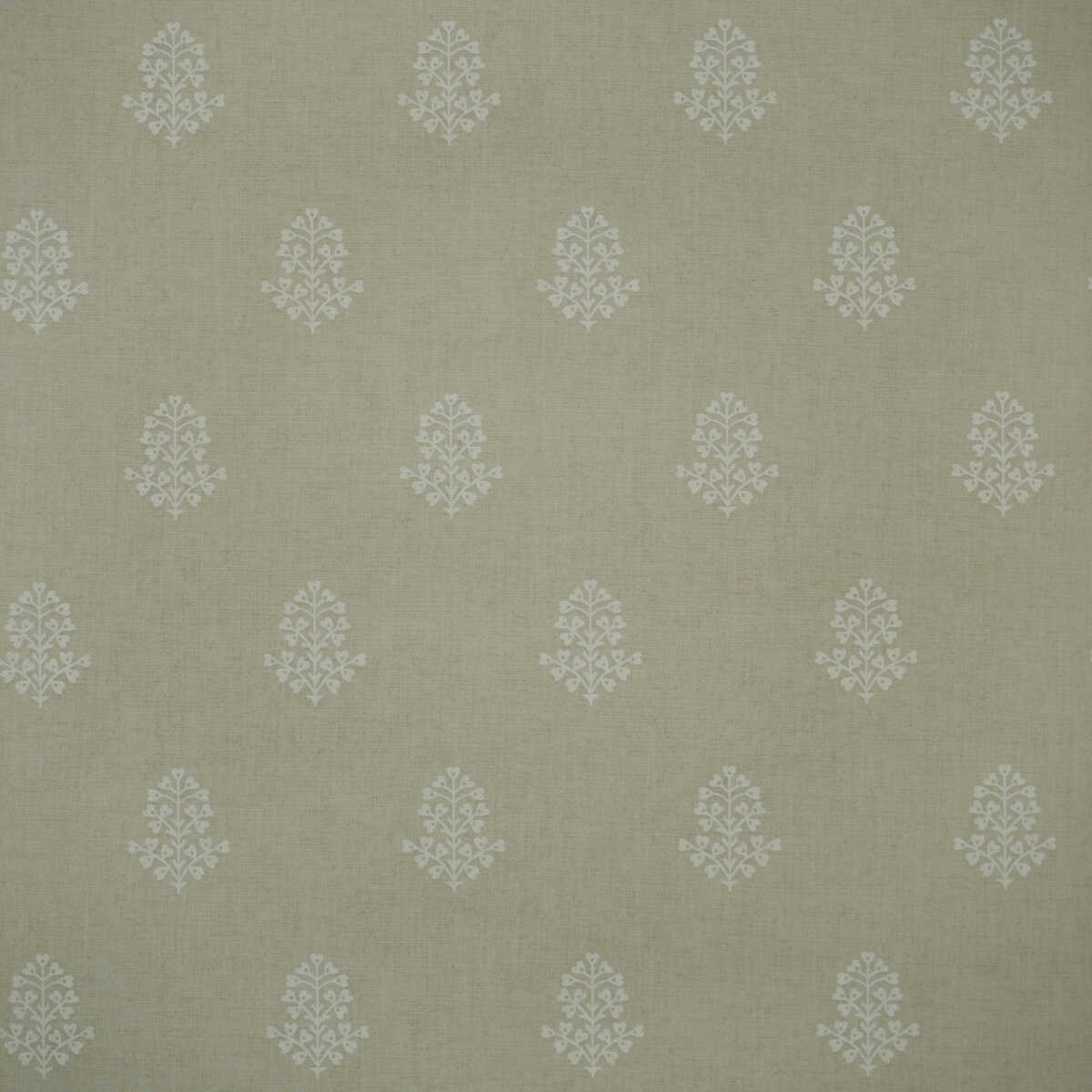 Cow Parsley - Stone - KRAVET COUTURE Wallpaper