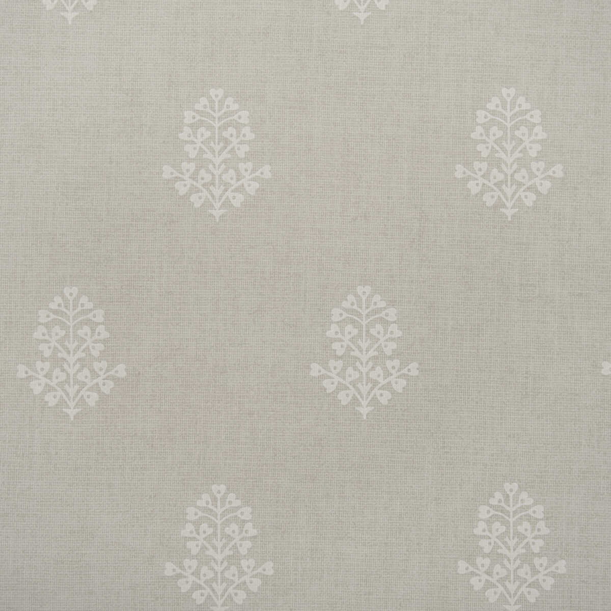 Cow Parsley - Marl - KRAVET COUTURE Wallpaper