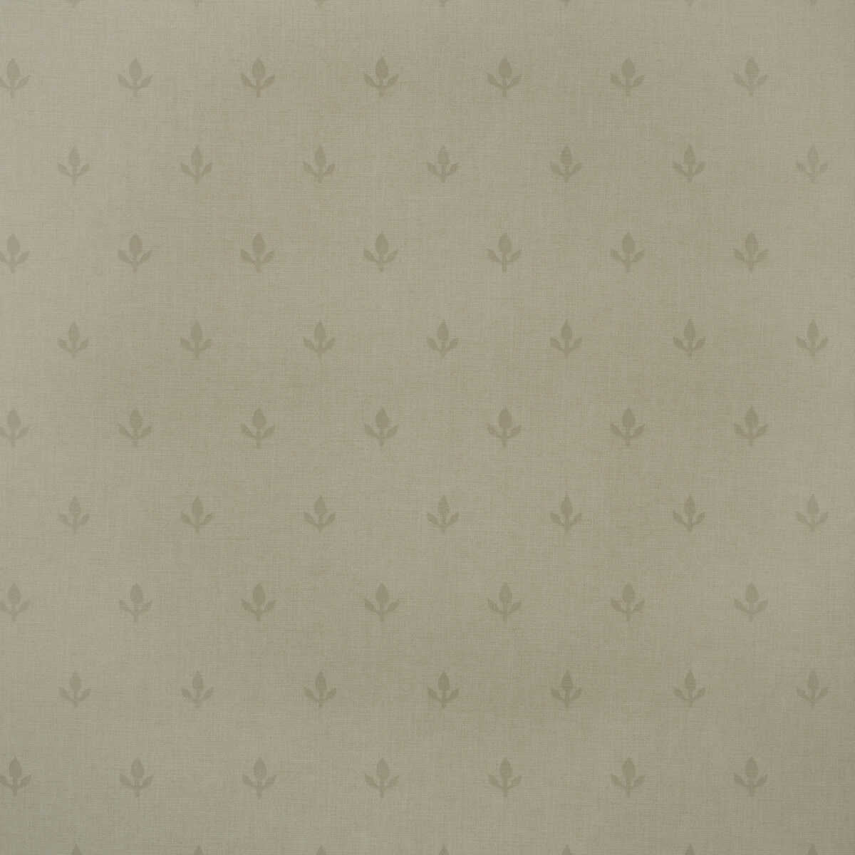 Crocus - Stone - KRAVET COUTURE Wallpaper