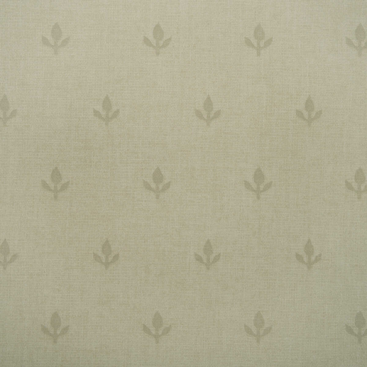 Crocus - Stone - KRAVET COUTURE Wallpaper