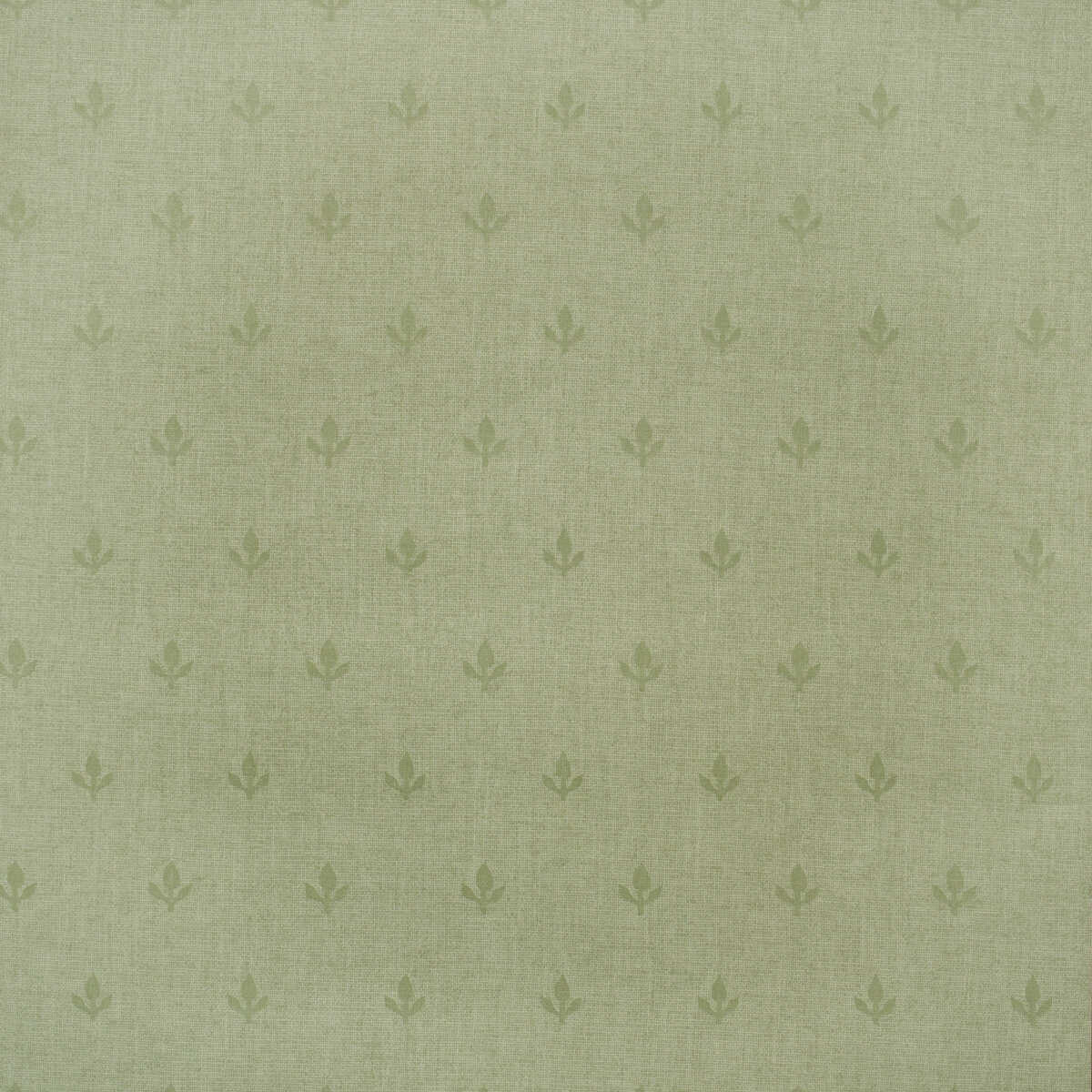 Crocus - Leaf - KRAVET COUTURE Papel pintado