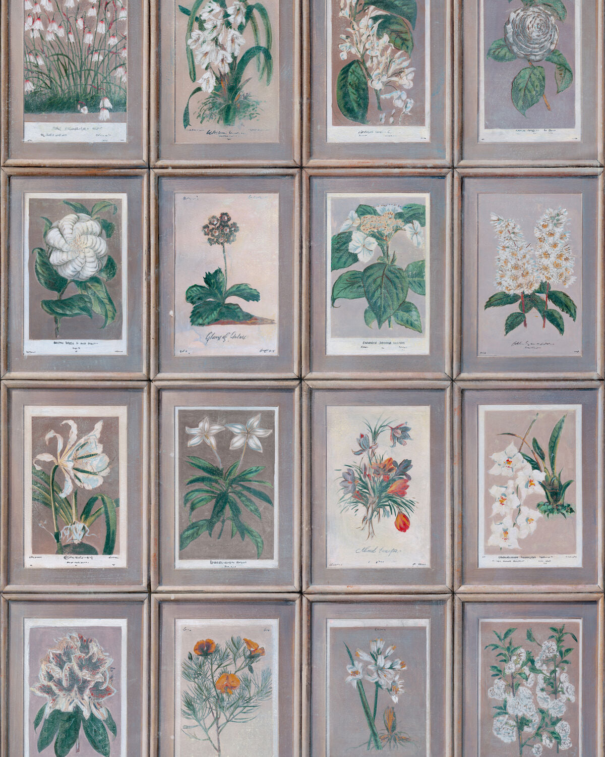 Floral - Slate - Kravet Couture Wallpaper