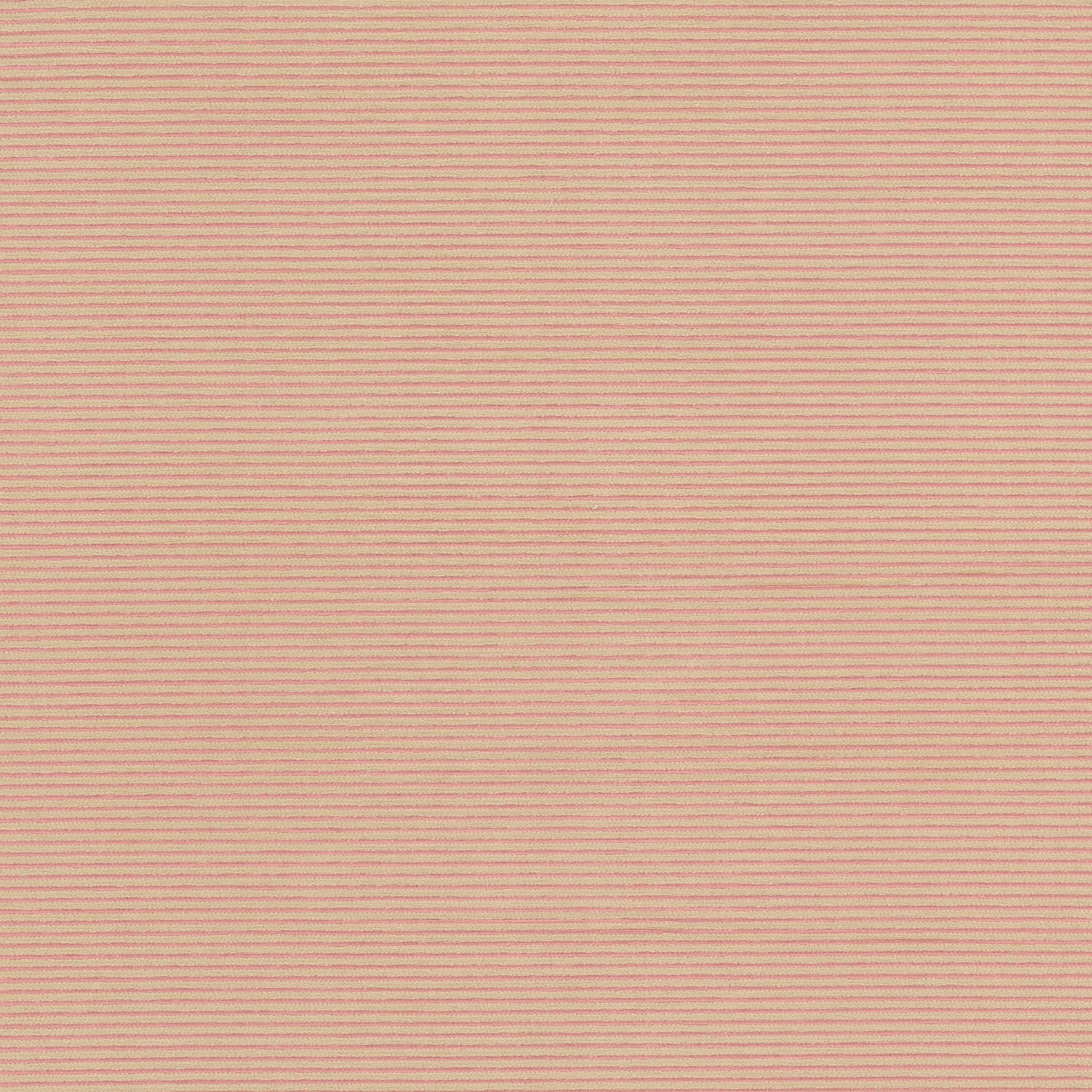ARDMORE-7-PETAL-STOUT-TEXTILES - Stout Textiles Fabric