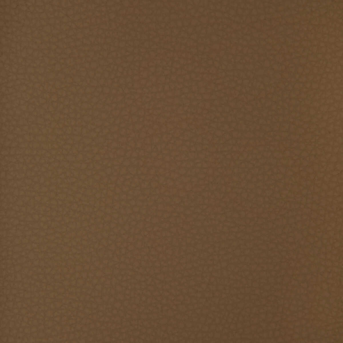 Kravet Design - Areni-6 - KRAVET DESIGN Tela