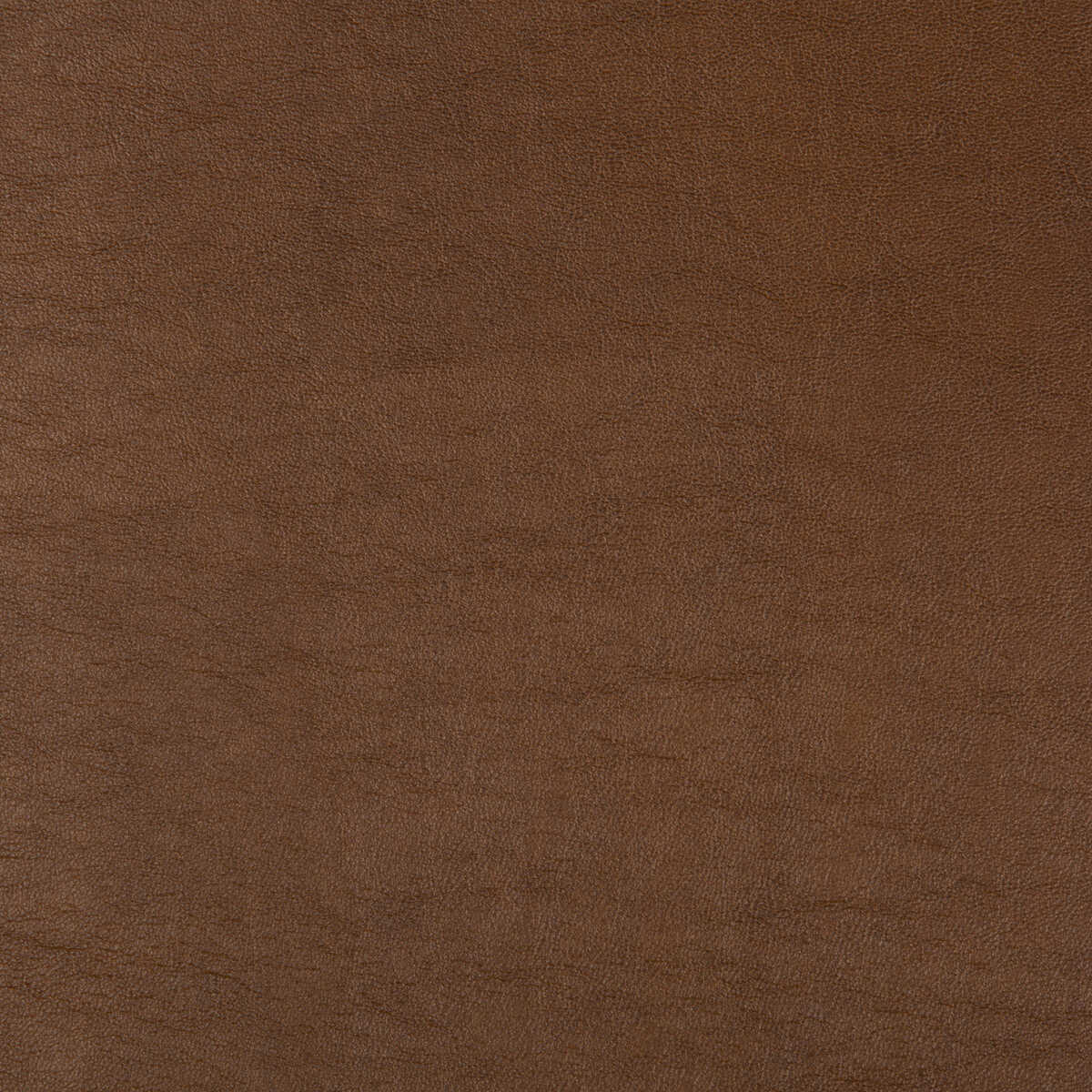 Kravet Design - Aristides-6