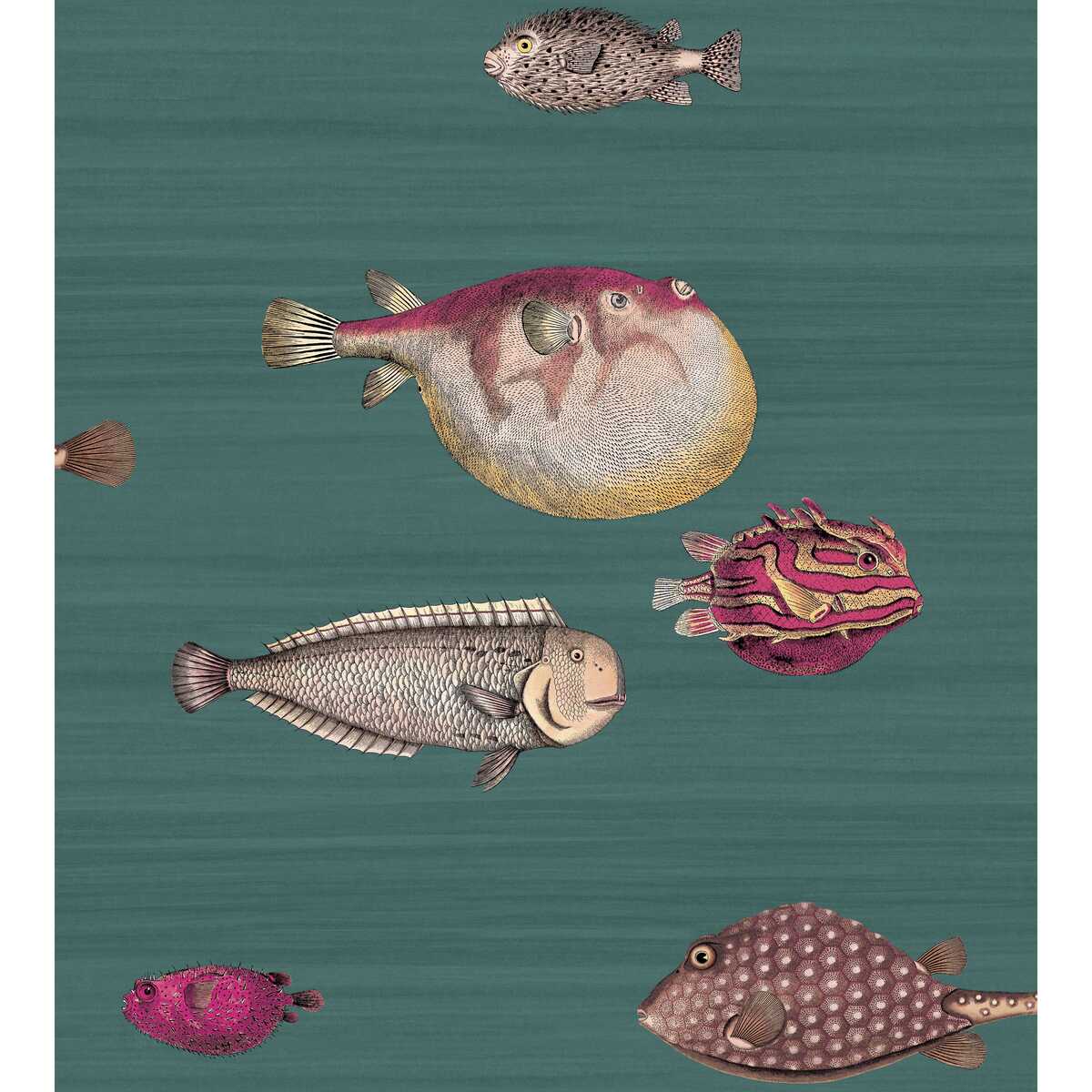 Acquario - Viridian - COLE & SON Wallpaper