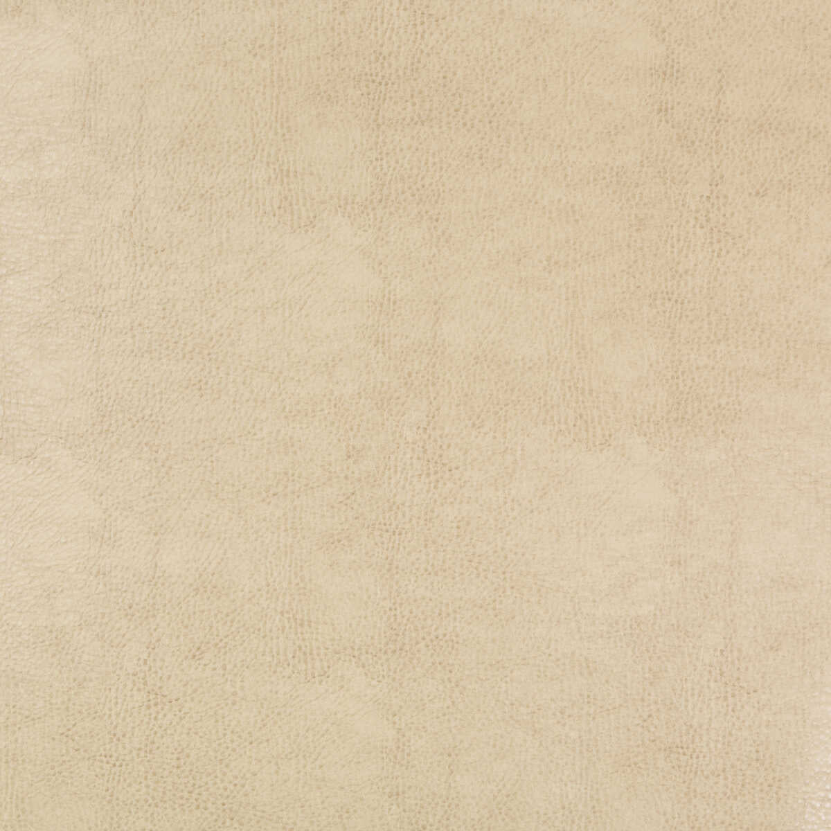 Kravet Design - Beholder-116