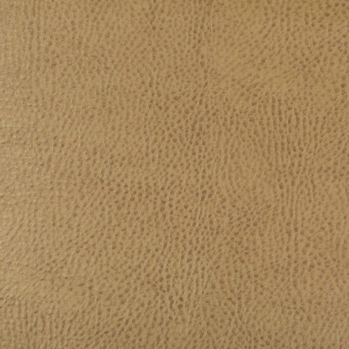 Kravet Design - Beholder-16 - KRAVET DESIGN Fabric