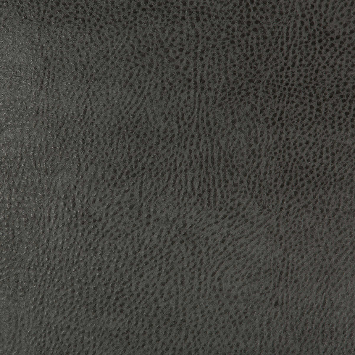 Kravet Design - Beholder-21