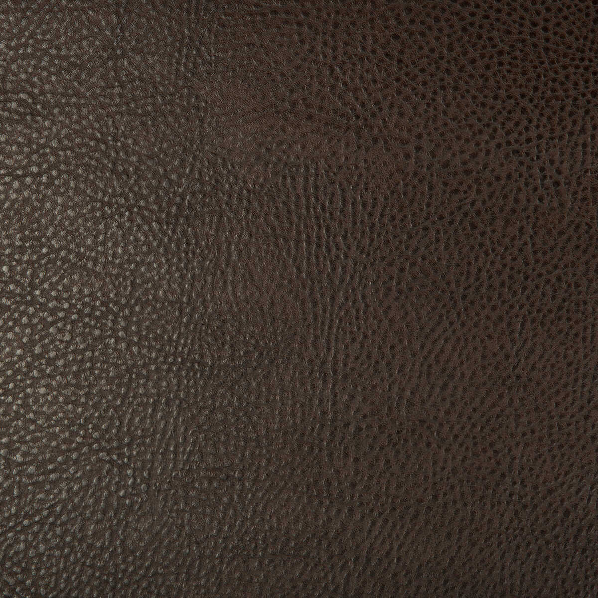 Kravet Design - Beholder-6