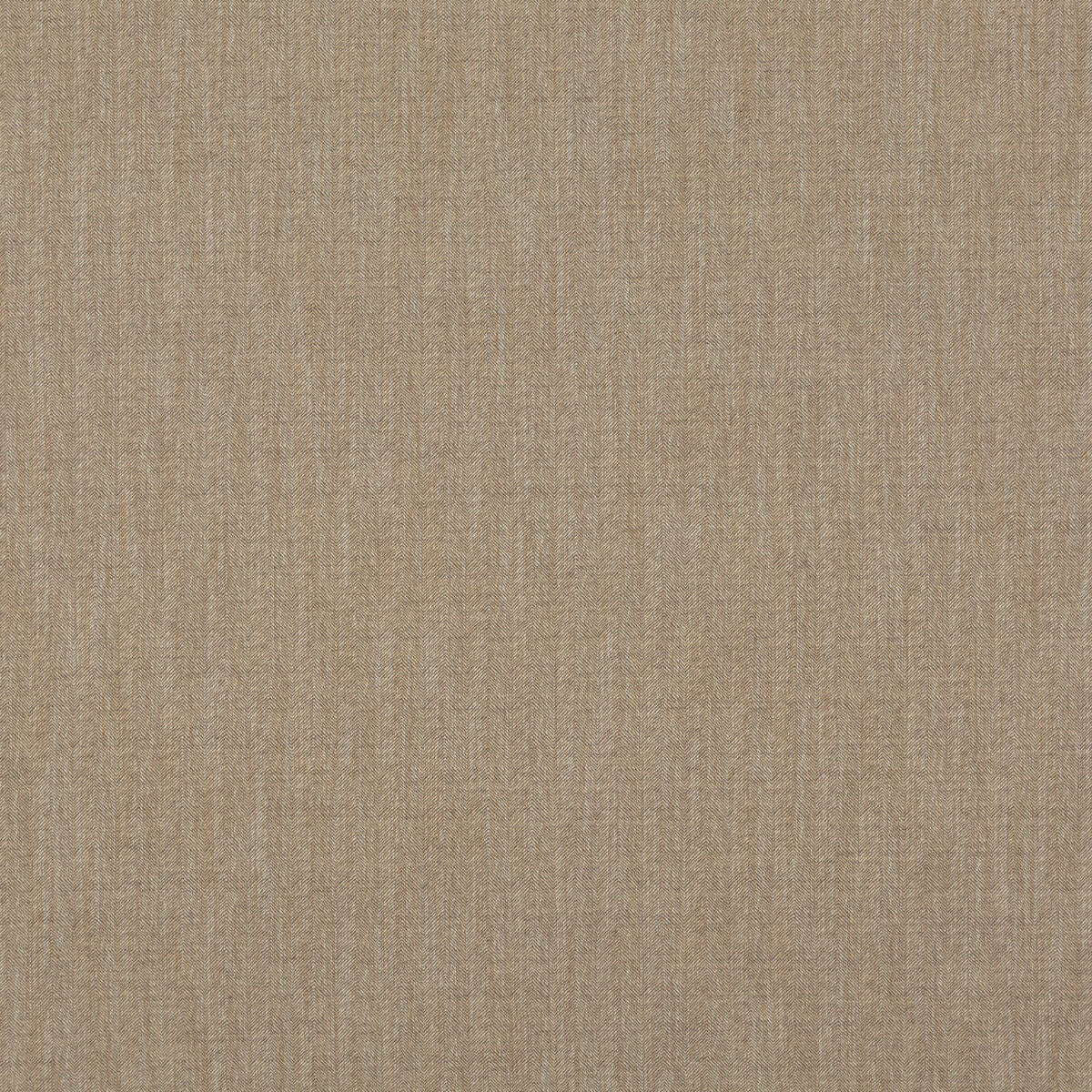Canyon - Bronze