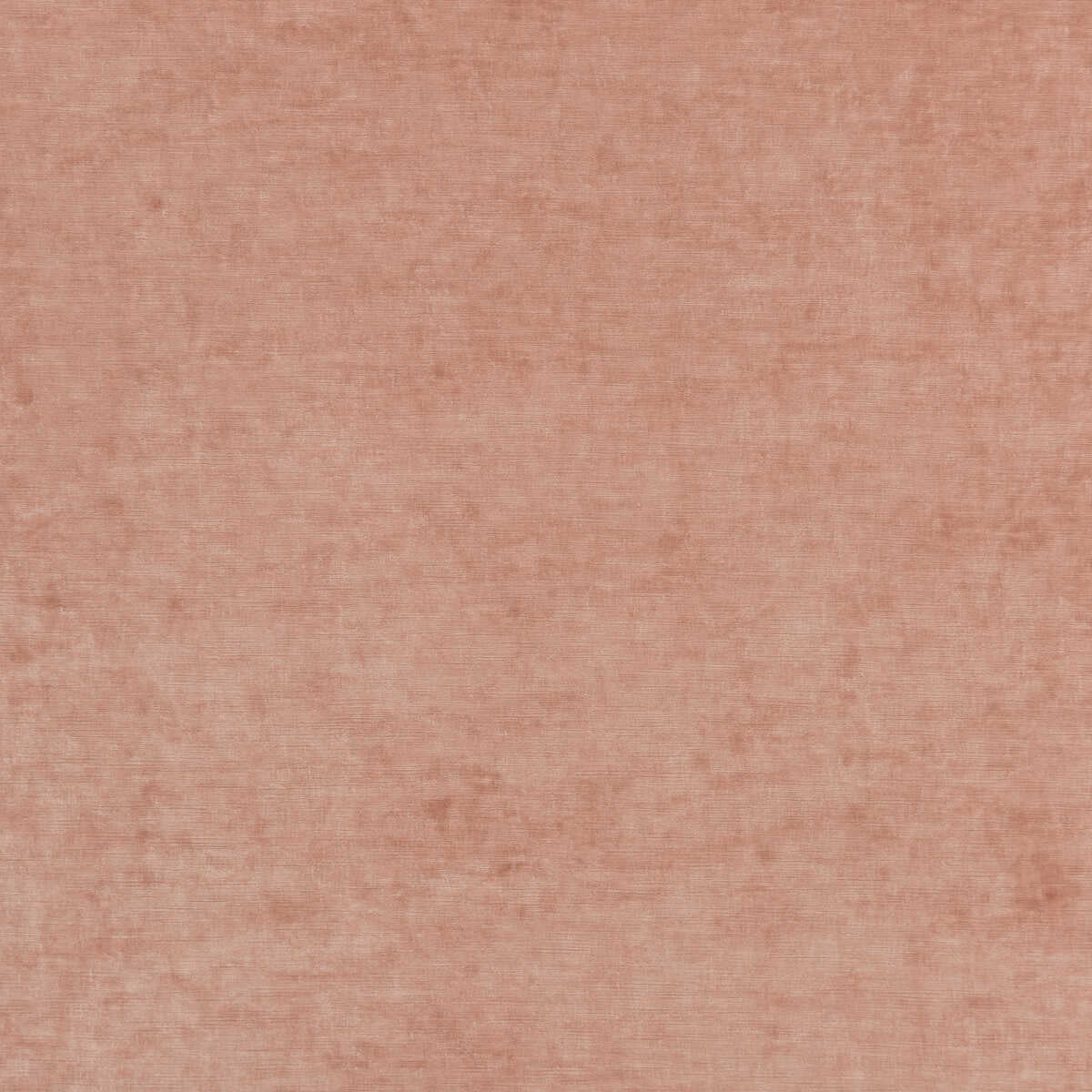Vintage Velvet - Blush - G P & J BAKER Fabric
