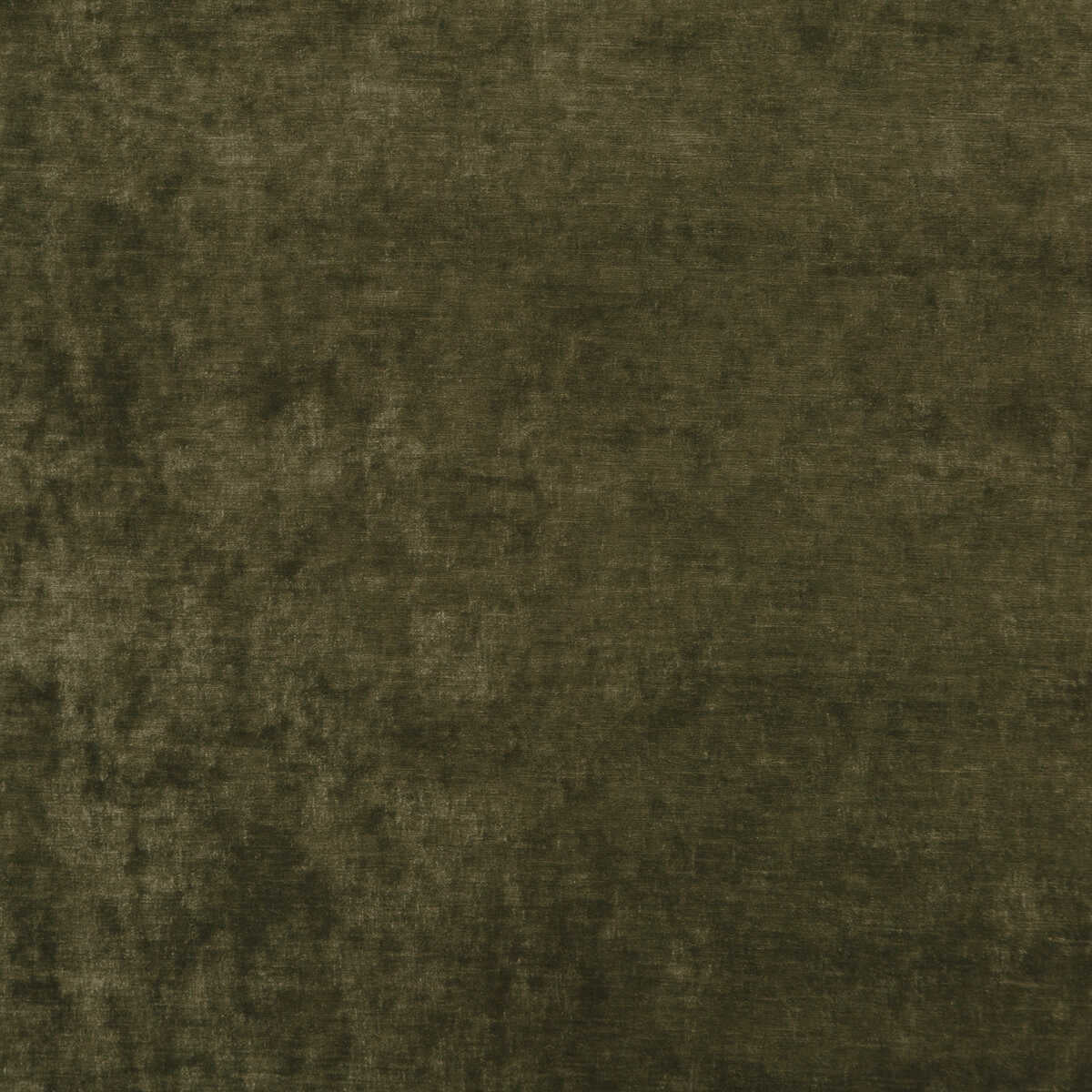 Vintage Velvet - Olive - G P & J BAKER Fabric