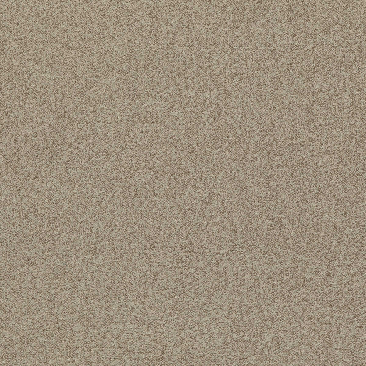 Baker House Boucle - Parchment - G P & J BAKER Fabric