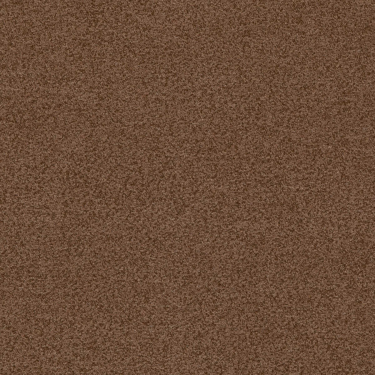 Baker House Boucle - Nutmeg