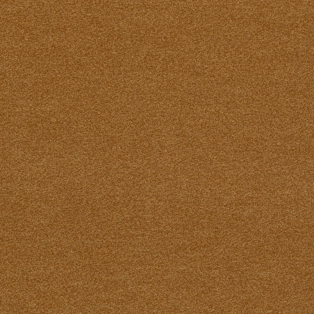 Baker House Boucle - Ochre