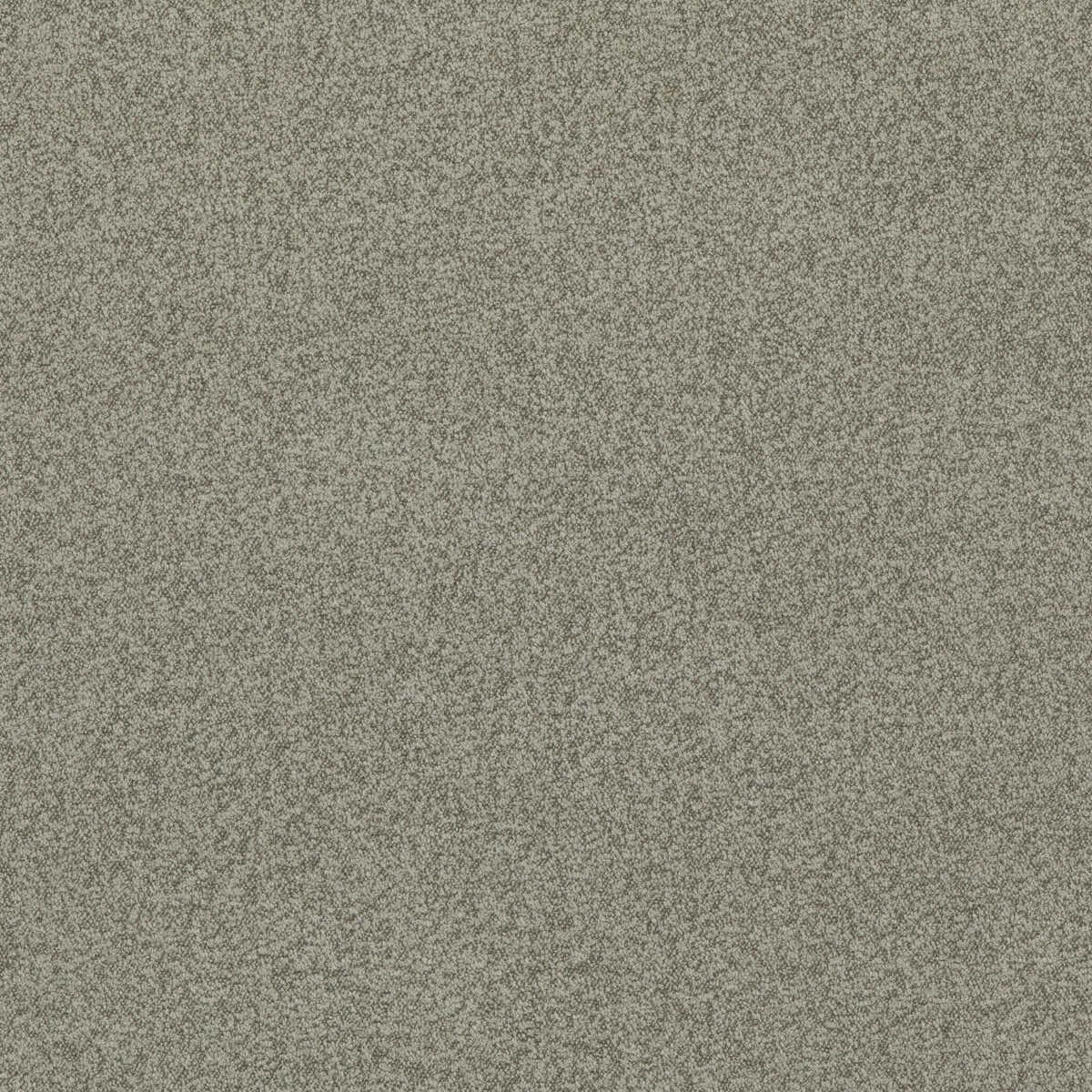 Baker House Boucle - Dove