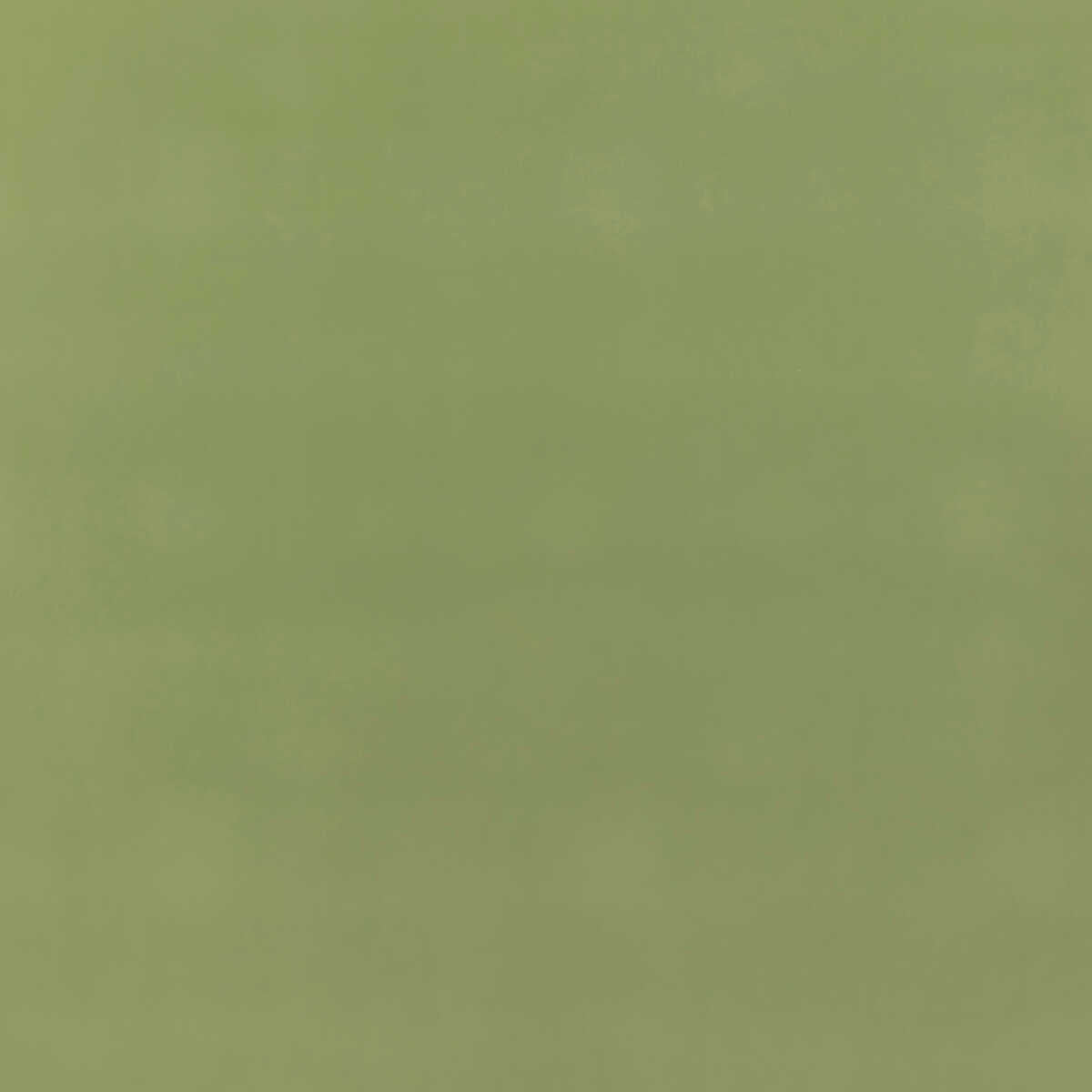 Baker House Fr Velvet - Grass - G P & J BAKER Fabric